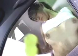 【RedTube】巨乳の激カワ娘が巨乳で洗車(？)する動画【フェチ】