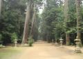 鹿島神宮の林道